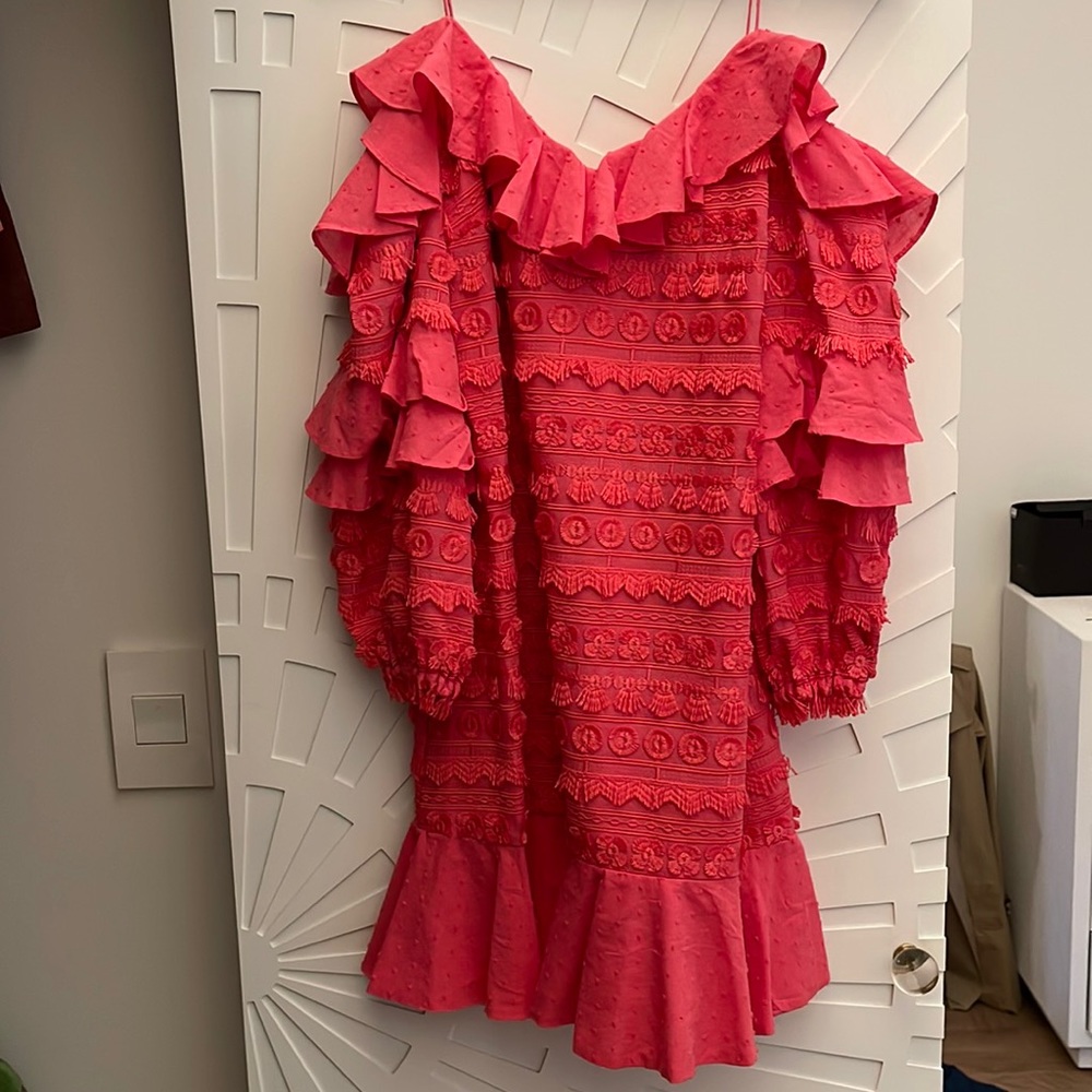 Alexis hot pink mini dress